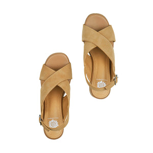 YELLOW BOX - Hania Almond Wedges